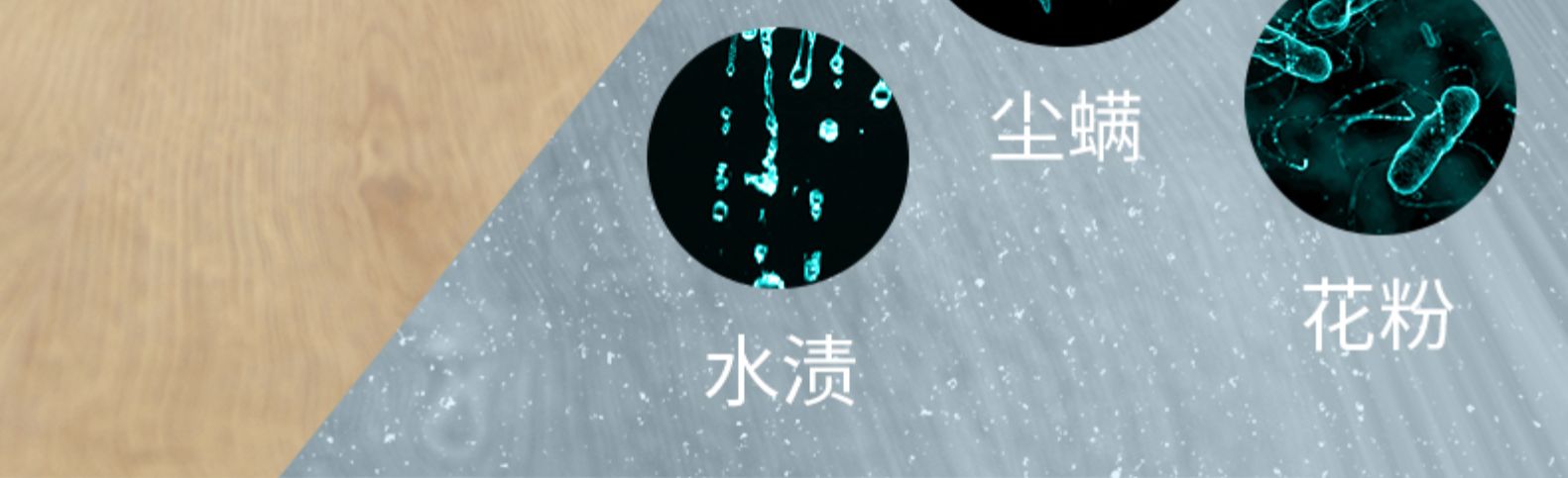 尘螨水渍花粉-推好价 | 品质生活 精选好价