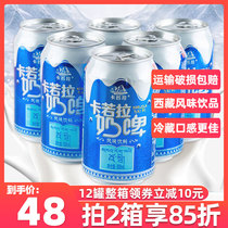 (12 cans) Carola Milk Beer Summer Flavor Lactic Acid Bacteria Fermented Drinks Dairy Hot Pot Companion