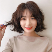 Wig womens summer 2021 short hair styling wool roll short curly hair simulation from natural full head cover style fashion bobble head