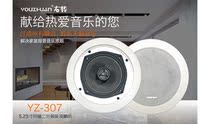 Turn right yz307 suction top horn fixed resistance family background music ceiling speaker ceiling speaker ceiling sound high fidelity yz309