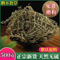 Wild Fresh Traditional Chinese Medicine Goose without Grass Powder Ultrafine Goose without Knowledge Grass Grass Goose not to eat Grass herbs