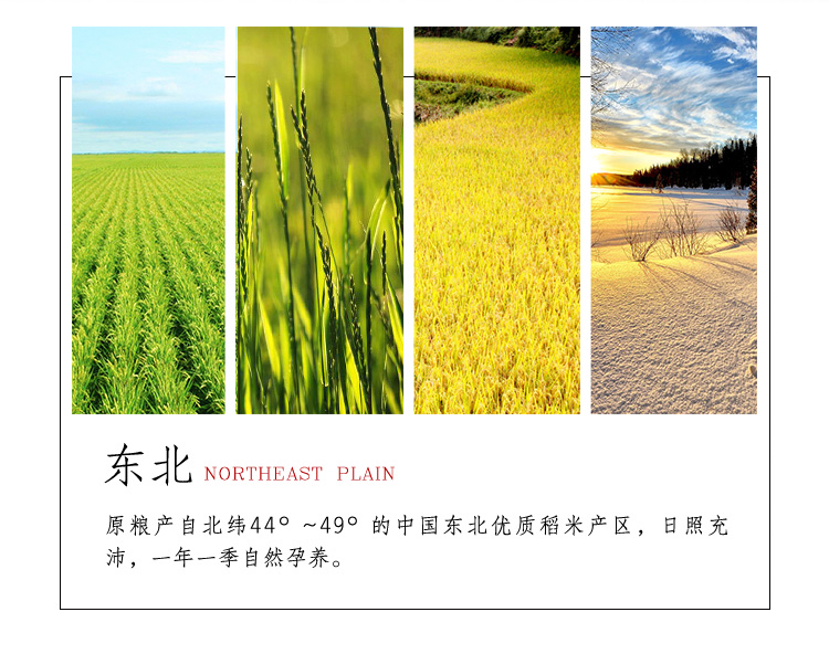 东北NORTHEAST PLAIN原粮产自北纬440~49°的中国东北优质稻米产区,日照充沛,一年一季自然孕养-推好价 | 品质生活 精选好价