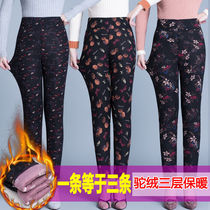 (Camel velvet cotton fabric)90-180 kg large size middle-aged and elderly camel velvet pants cotton pants female body pants bottoming