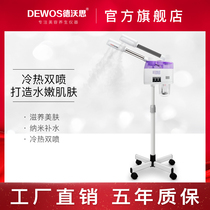 Hot and cold sprayer Hot and cold spray instrument Face steamer Beauty instrument Beauty salon single tube double tube hot and cold spray instrument