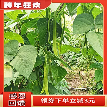 新鲜扁豆露天蔬菜刀豆3斤[3元优惠券]-寻折猪