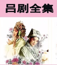 32G Lu Opera Shandong local opera USB disc full version video theater computer storage disk 119