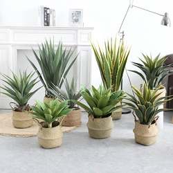 Nordic simulated sisal tropical desert plant potted bionic gladiolus green plant shop window interior floor decoration