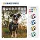 Ruffwell Hi Light Dog Harness ruffwear ຂະ​ຫນາດ​ໃຫຍ່​, ຂະ​ຫນາດ​ກາງ​ແລະ​ຂະ​ຫນາດ​ນ້ອຍ vest vest ຫມາ​ຍ່າງ​ແບບ leash​