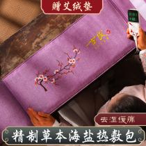 Electric Salt Bag Salt Bag Sea Salt Coarse Salt Hot Compress Bag Electric Heating Home Electric Heat Physiotherapy With Bag Amoxibustion Aweed Salt Bag