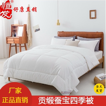 Hengfa home textile silkworm treasure Four Seasons quilt skin spring autumn quilt spring thick quilt student quilt