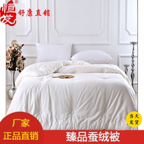 Hengfa home textile products silkworm velvet cotton thickened warm winter cotton silk 8kg quilt core double household