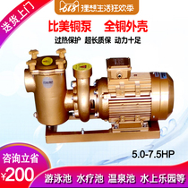 Bimei swimming pool copper pump filter circulation pump High temperature spa pool Hot spring pool water treatment equipment Swimming pool pump