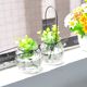 Hanging transparent glass vase small pumpkin hanging bottle hydroponic flower indoor gardening home decoration bottle simple Hanging transparent glass vase small pumpkin hanging bottle hydroponic flower indoor gardening home decoration bottle simple