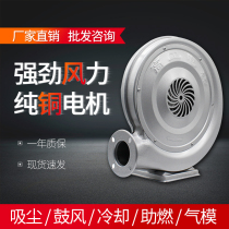 Medium pressure fan Z-CZR Industrial high power 220v iron shell low noise centrifugal stove boiler blower
