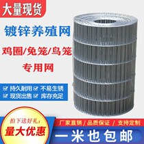 Bird Cage Mesh Quails Nets Breeding Pigeon Nets Electric Welding Nets Roll Raising Chicken Nets Domestic Rabbit Cage Galvanized Iron Mesh Parrot Cage