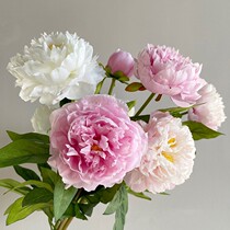 High quality simulation flower paeous peony flower fake flower atmospheric high-end view cabinet metaphor simulation
