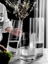 Vase fitting in the living room with transparent glass bottle i Limitless drunk wood aquaculture wide open mouth red large and precious bamboo