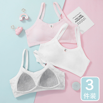 Developmental small vest female primary school girl underwear junior high school children cotton High School puberty wear bra