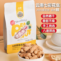 2022 New Goods Yunnan Seven Colorful Wild Ground Peanuts With Shell Sunburn Colored Peanut Seven Color Peanuts Flagship Store Wholesale