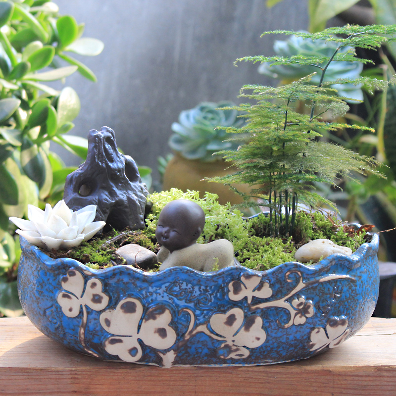 Large - diameter fleshy meat meat, green plant contracted creative flowerpot ceramics is increasing in wide expressions using pot basin of Large special offer a clearance