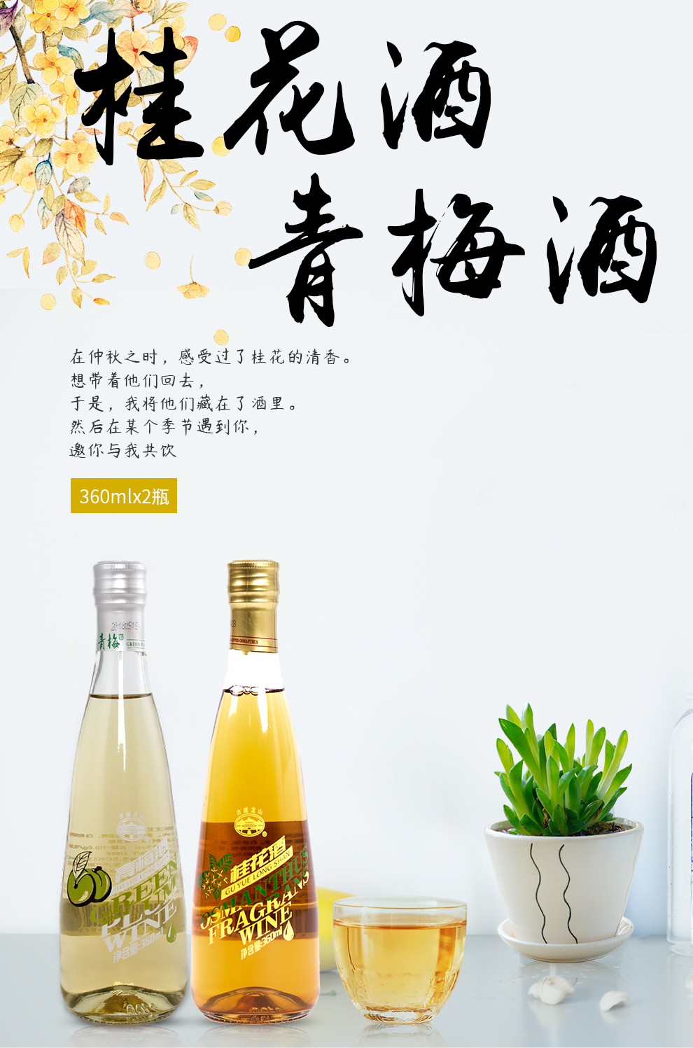 古越龙山低度桂花青梅酒360ml2瓶158包邮