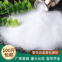 100 pounds of quartz sand white particles Childrens fine sand filter material hotel ashtray special landscaping decoration white sand