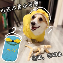 Dog Autumn Winter Clothing Plus Suede Warm Coat With Cap Pet Clothes Cotton Cloakkifa Bucket Chai Dog Small And Medium Dog