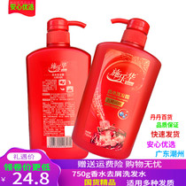 Schlehua Perfume Shampoo to Dandruff Shampoo 750ml to scrapy and smooth and smooth and moisturize for men and women lasting