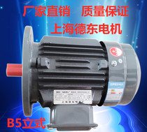 Shanghai Dedong Motor National Standard Iron Shell Y2-5 5-7 5-2P Copper Core Three-phase Asynchronous Motor High Efficiency and Energy Saving