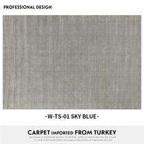 India imported hand woven gray wool living room carpet Solid color modern simple Nordic bedroom coffee table mat