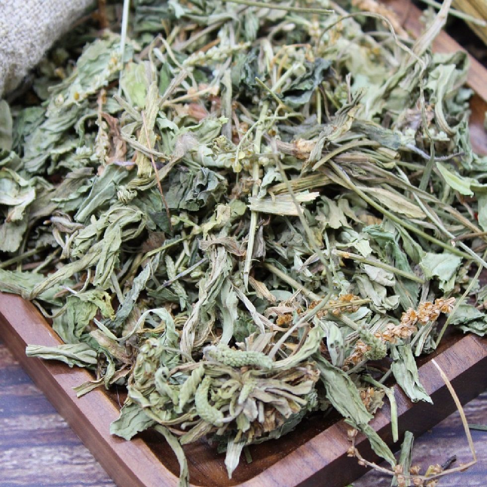 三角包定制】野生车前草茶中药材新鲜正品车前草子干车轮菜包邮