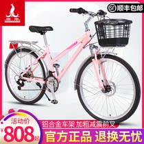Phoenix bicycle ladies aluminum alloy lightweight variable speed bicycle men to work shopping student racing travel mountain bike