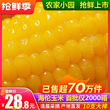 【海农壹品】黄糯玉米真空10支*250g大棒[7元优惠券]-寻折猪