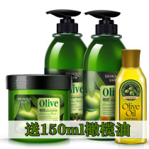 Olive Plant Shampoo to Cuttings Flexo Children Pregnant Women Pregnant pregnant women Special shampoo Olive Oil Hair Care Vegan Hair Film Suit