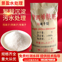 Polyacrylamide pam sewage treatment agent flocculant precipitant anionic cationic Nonionic thickening