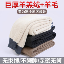 Cashmere pants mens plus velvet thickening Ordos womens lamb velvet high waist cotton pants warm pants winter wool pants