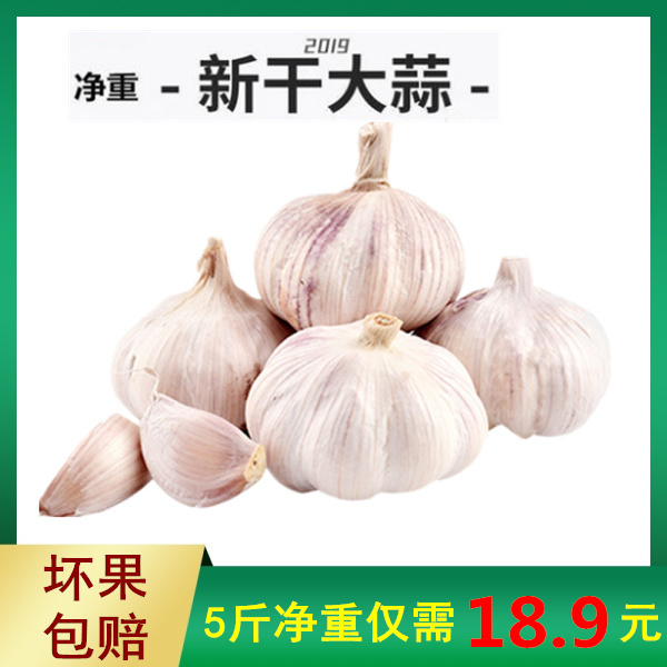 康來諾 新鮮紫白皮大蒜 5斤裝帶箱