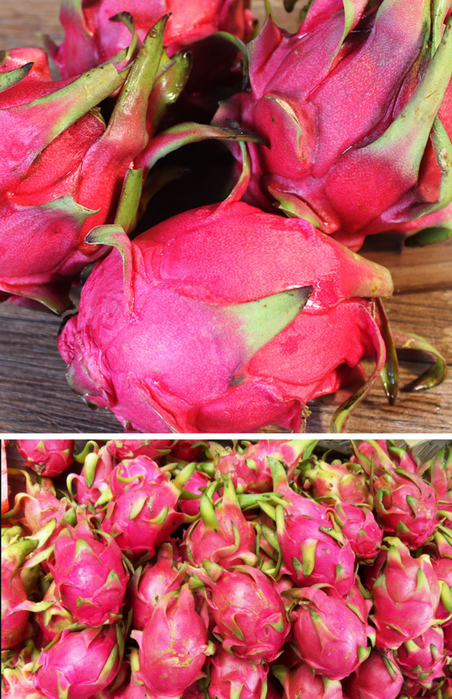 果聚客 海南 越南红心火龙果5斤金都红绣球新鲜水果红肉中大果10_去搜