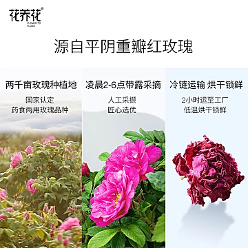 薇娅推荐玫瑰花茶平阴大朵重瓣花冠无硫玫瑰[5元优惠券]-寻折猪