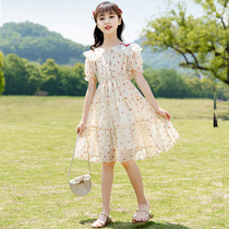 Italian Bambet girls floral chiffon dress summer dress children Korean princess dress girl summer dress