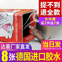 Dachao mouse adhesive board Mouse paste Super strong sticky mouse board Household mouse artifact nest end mouse