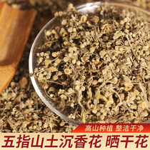 Hainan Soil Sinkang Flowers Dried Flowers 5 fingers Mountain earth Indulge Flowers Tea Fresh Sunburn Flowers white costuss Blossom Chic Nan Sunken Fragrant Tea