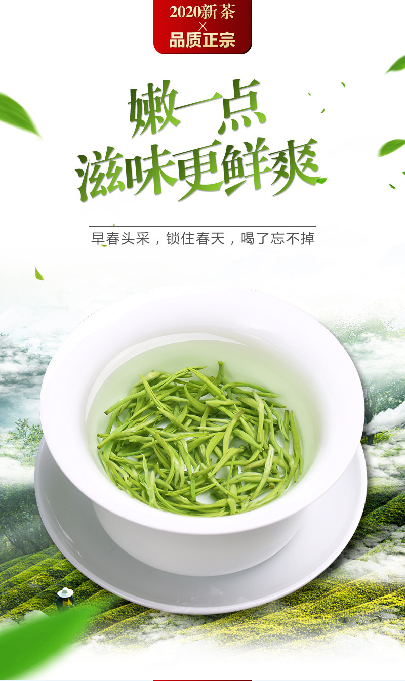 茶博山2020新茶明前碧螺春125g
