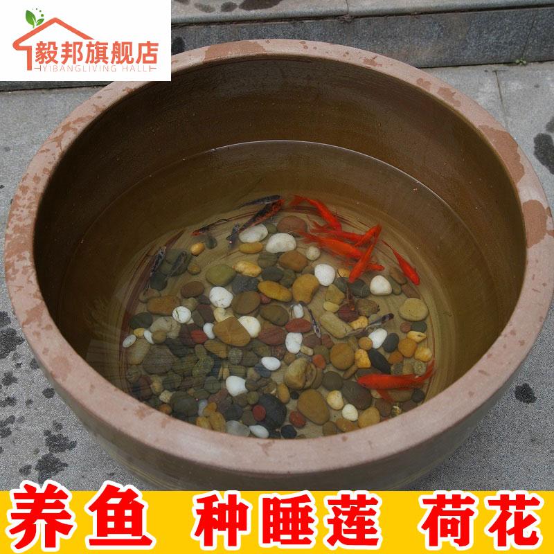 Scene home old aquarium lotus to heavy sleep courtyard GangPen fish tank large building ceramics have lotus POTS bowl lotus