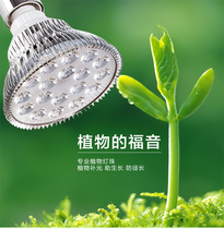LED full spectrum succulent rich tree Vegetable nursery Orchid water plant plant growth fill light special solar lamp