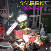 New Mingxian glass fill meat rich tree Flowers Water plants vegetables Orchids Nursery growth special sun lamp
