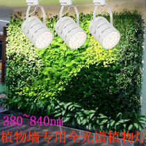 Plant wall engineering special full spectrum plant growth fill light Green plant wall track spot light LED growth light
