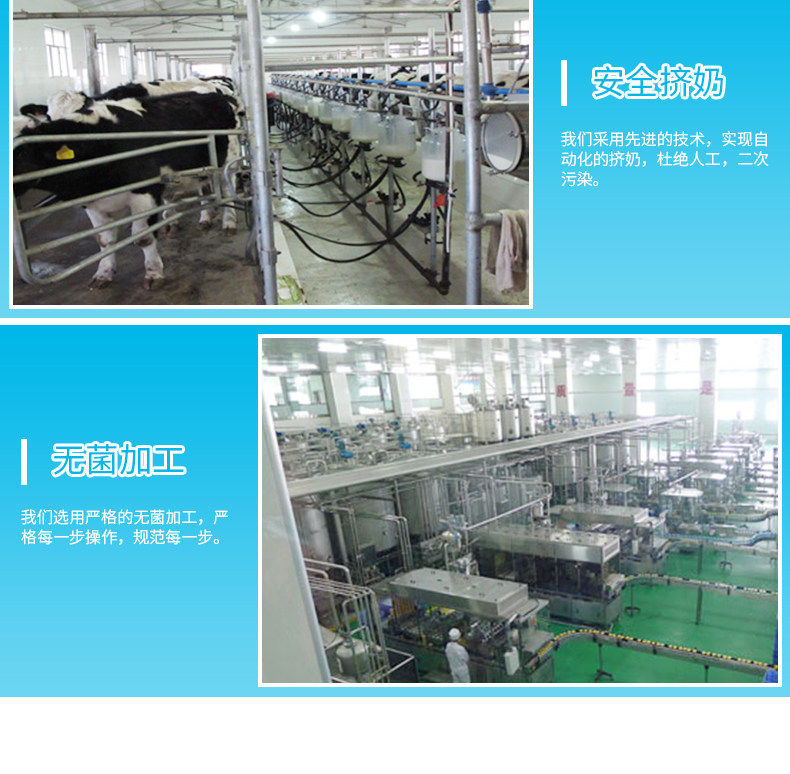 【产地直发】麦趣尔原味酸奶1kg桶装