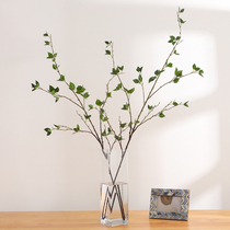 Taihuan Nordic ins wind simulation Tsubaki tree long branch Net red green plant green leaf desktop decoration Living room model room decoration