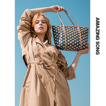 Amazing Song tote bag 2021 New dumpling bag large capacity simple wings shoulder bag female Hand bag
